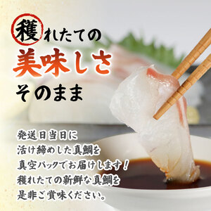 真鯛 1匹分 フィーレ お炭付き鯛