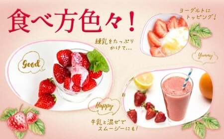 いちご 「あまおう」 約270g×10パック 計約2700g 苺 イチゴ 果物 フルーツ 【2027年2月上旬～2027年3月下旬発送】
