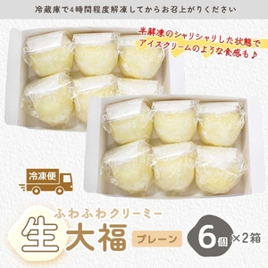 ふわふわクリーミー生大福プレーン 6個入り 2箱（MP-6)