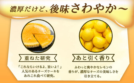 ガトーフロマージュと銀の森珈琲セット / 恵那市 / 銀の森 [AUBG044]