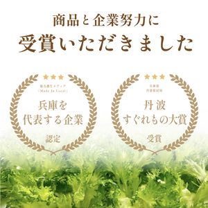 【無農薬野菜定期便 6回】 レタス  (2種 計1.3kg/回) 無農薬野菜  SUBSC-MBF004