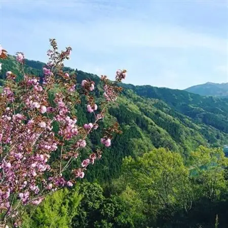 お山の宿みちつじ古民家宿　一日一組　一棟貸　一泊二食付き　田舎暮らし　絶景　宿泊券　10000円分【1313428】