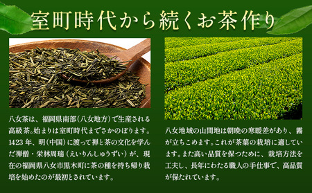 濃厚 八女 抹茶 クランチ 15個入り 《30日以内に出荷予定(土日祝除く)》 福岡県 小竹町 クランチ お茶 茶 八女抹茶 抹茶 送料無料