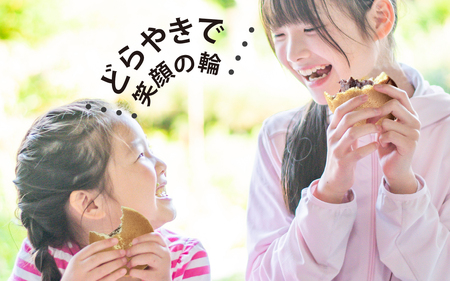 和菓子 能登大納言どらやき 15個 （1箱）|  和菓子