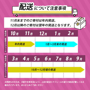 さつまいも TVで紹介！ 【 アフター保証 】甘くておいしい！ 紅はるか 1kg