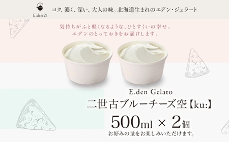 ジェラート 二世古ブルーチーズ空【ku:】 500ml×2個