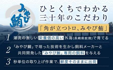 訳あり みやび鮪 切り落とし 端っこちゃん 計約300g（約100g×3） 3～4人前 ／ マグロ 鮪 トロ 本鮪 本マグロ 本まぐろ 冷凍まぐろ 冷凍鮪 まぐろ 赤身 トロ 鮪赤身 鮪トロ 国産鮪 国産まぐろ 切落し きりおとし 魚 海鮮 刺身 刺し身 冷凍 長崎 長崎県 長崎市