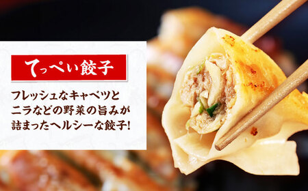 石田てっぺい 濃厚とんこつ魚介つけ麺＆てっぺい餃子 2人前セット 冷凍 餃子 ギョーザ つけ麺 つけめん 惣菜 おかず 国産 大阪府高槻市/無人屋[AOCX038]