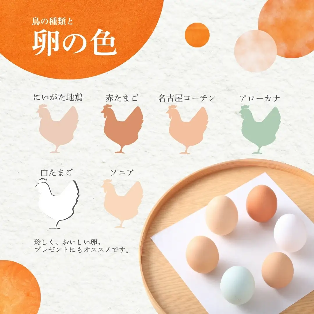 【6回定期便】キムラファームの産みたて玉子 6色たまご詰合せ 30個