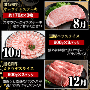 ＜定期便・全6回(偶数月)＞6人家族用！鹿児島県産 黒毛和牛・黒豚 定期便 C (総量約9kg) 国産 黒豚 しゃぶしゃぶ 肩 ロース スライス 訳あり 切り落とし 黒毛和牛 サーロイン ステーキ 黒豚 バラ カタ ウデ 小分け セット 【スターゼン】akn042-39