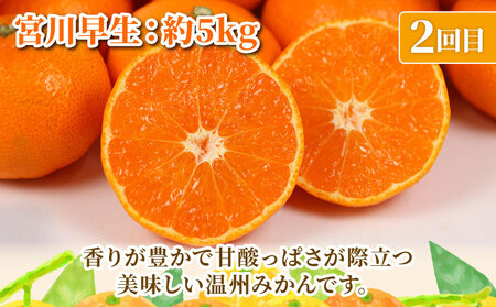 旬の 温州みかん 5kg × 3回 定期便 矢野青果 準贈答用 極早生 宮川早生 南柑20号 みかん mikan 愛媛みかん 愛媛ミカン 愛媛蜜柑 果物 くだもの フルーツ 濃厚 甘い 甘味 さっぱり 酸味 蜜柑 産地直送 数量限定 国産 愛媛 宇和島 B036-171027