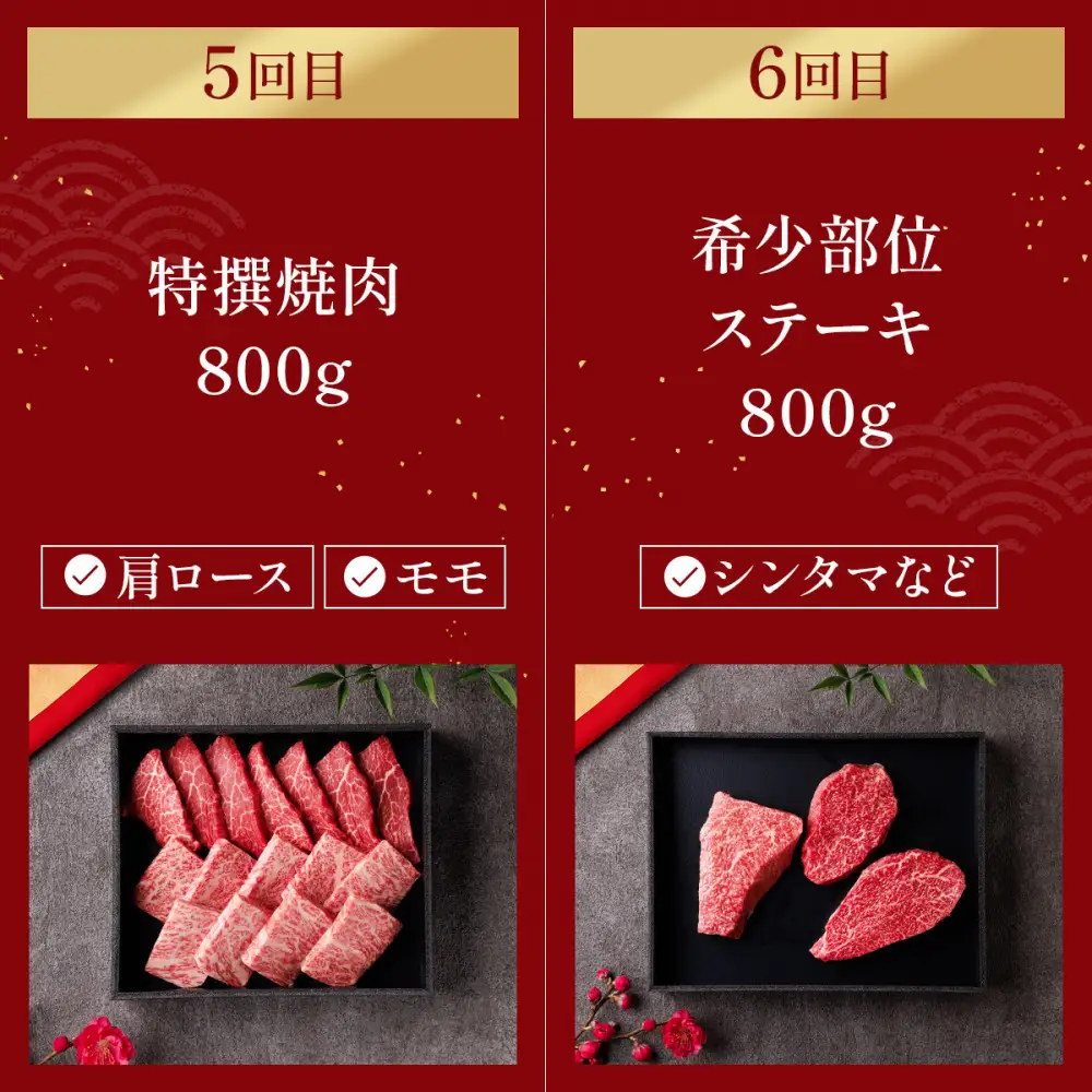 【和牛セレブ】神戸牛 定期便「ファーストクラス」（定期便６回）