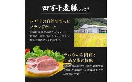 四万十麦豚 パラパラミンチ 1kg（500g×2袋）麦豚 ミンチ 冷凍 Ahc-21