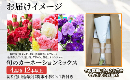 ＜選べる配送月＞ 北海道 カーネーション ミックス 4品種 12本以上 切り花 切花 花束 ブーケ 季節 旬 生花 フラワー アレンジメント 記念日 産地直送 つきがたふるさと花の会 10月お届け
