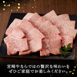宮崎牛上級焼肉450g N061-YB335