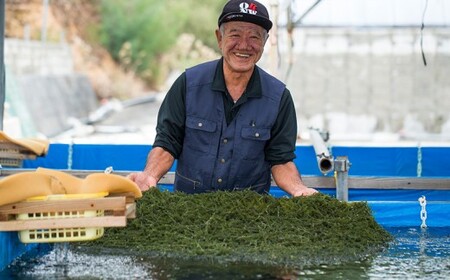 美ら海 沖縄県産 海ぶどうセット／茎なし200g（100g×2パック）ポン酢付