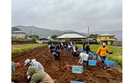 【予約受付！６月以降順次発送】芋焼酎７１０（ナナイチマル）　【数量限定 SDGS 紅はるか 地場産品 本格芋焼酎】