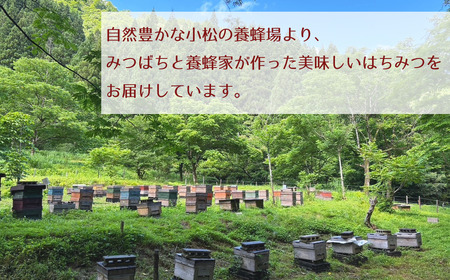 はちみつセット あかしあ＆桜 160g×2本 はちみつ