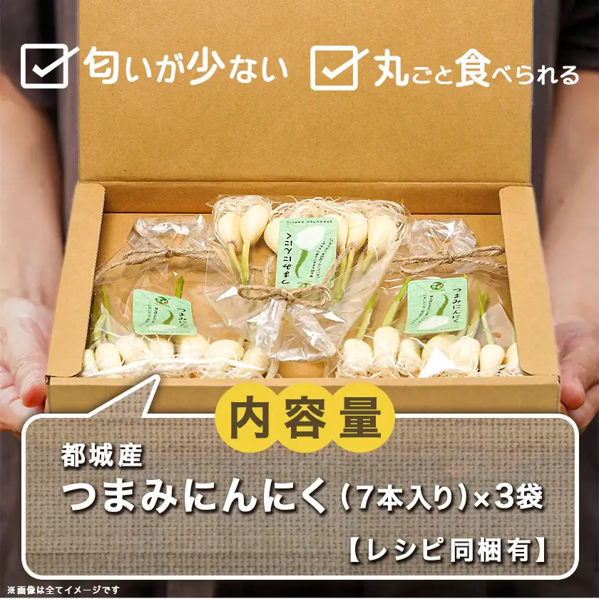 スーパーフード!つまみにんにく 7本入り×3袋※冷蔵≪みやこんじょ特急便≫〔LE-C901-Q〕_(都城市) 水耕栽培 発芽（スプラウト） GABA 体づくり