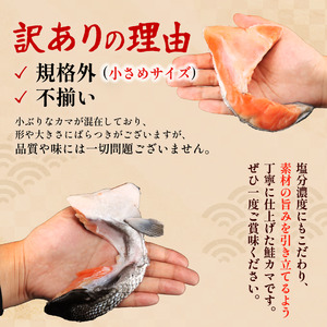 【訳あり】 銀鮭カマ500g×8袋 ふるさと納税 鮭 サケ