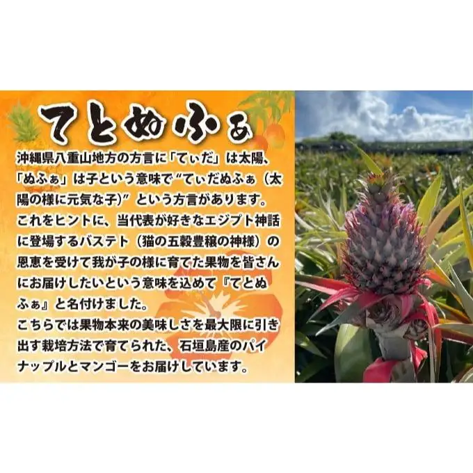 石垣島産 完熟 ゴールドバレル 2玉 約2.5kg