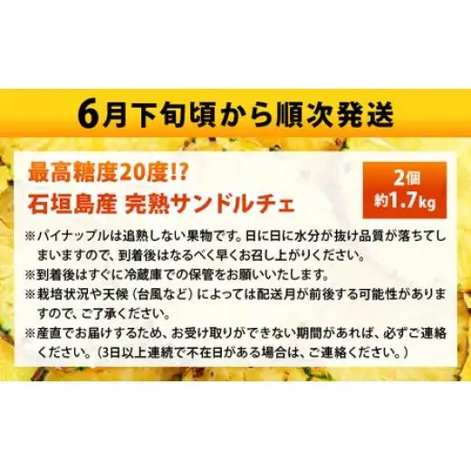 石垣島産完熟サンドルチェ 2個セット