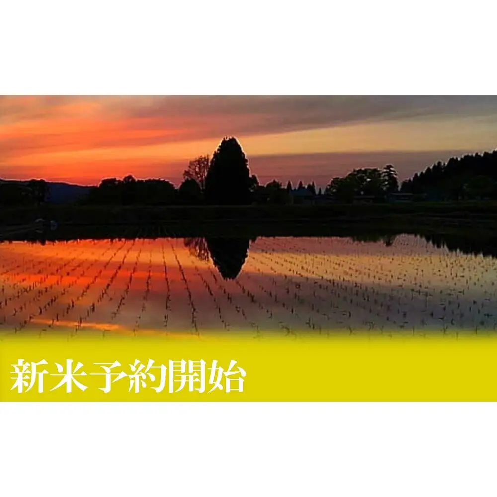 【令和8年産　新米予約】定期便３ヶ月：精米5kgしおざわ産限定 南魚沼産コシヒカリ【定期便 銘柄米 ブランド米 精米 こしひかり コシヒカリ 魚沼産 新潟米 お米 米】【2026年10月上旬から1ヶ月以内に順次発送予定】