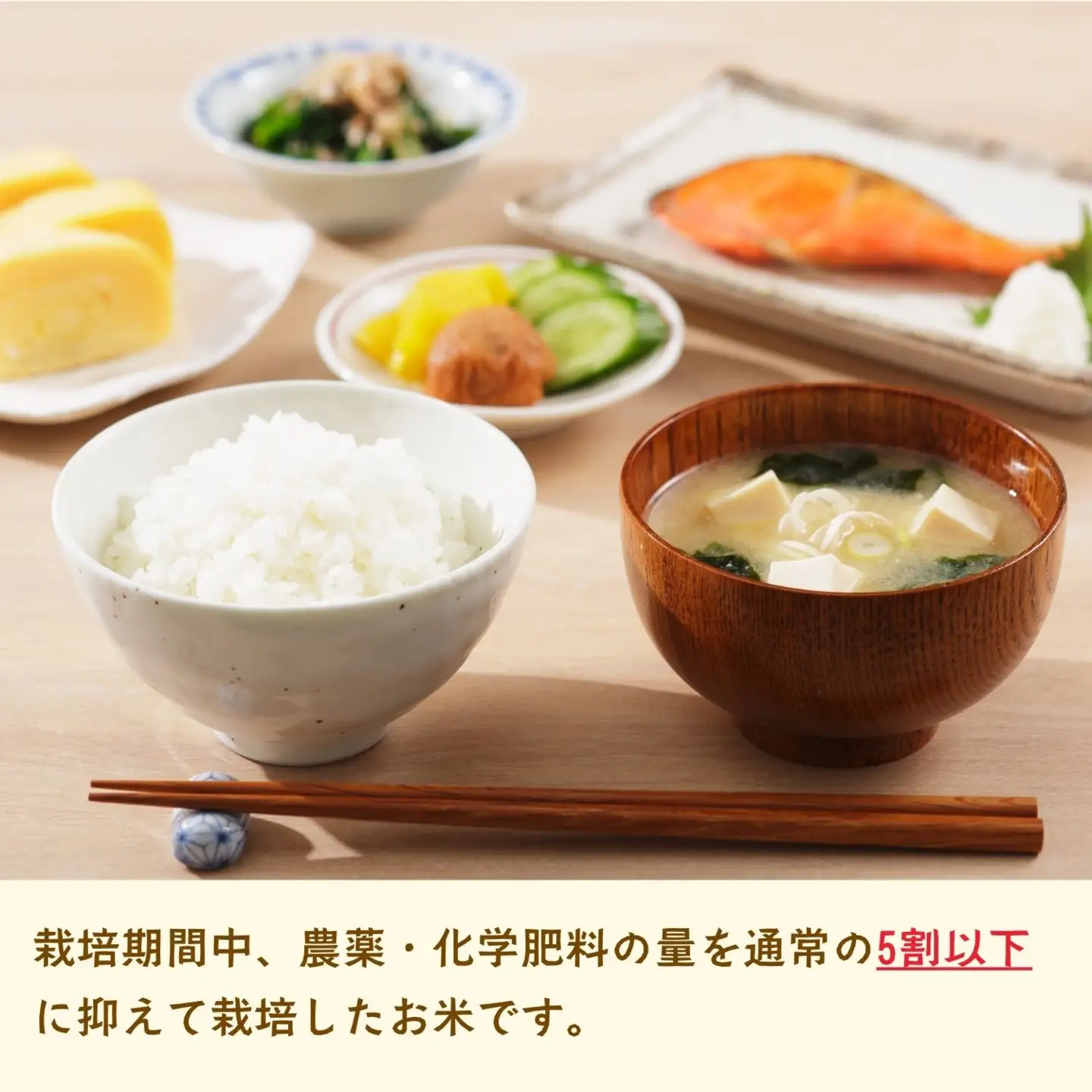 《令和8年産 先行予約》コシヒカリ 3kg 沼田さんちの満点 (Bx-002)　コシヒカリ