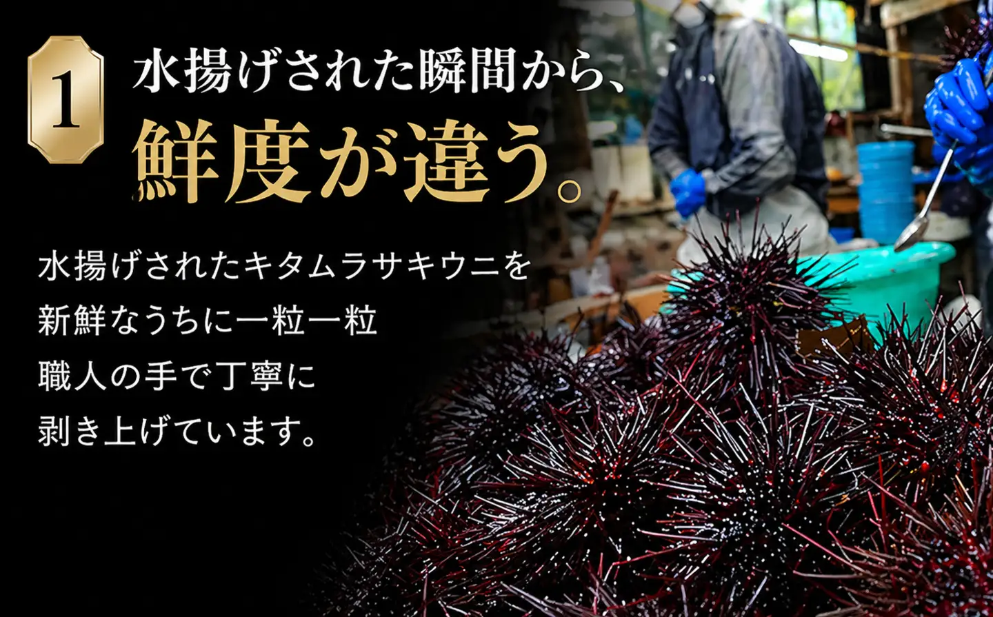 津軽海峡産　無添加　極上　瓶詰め生ウニ　180g×1本