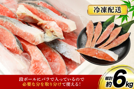 鮭 6回 定期便 厚切り 塩銀鮭 A品 切り身 約1kg 総計6kg [安田 宮崎県 日向市 452061475]