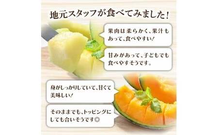 高級土佐アールスメロン2玉入り メロン めろん 赤白セット 赤玉×白玉 3kg以上 舐瓜 果物 くだもの フルーツ デザート スイーツ おやつ 高級 常温 配送【森岡　敬】 [BQBA004]