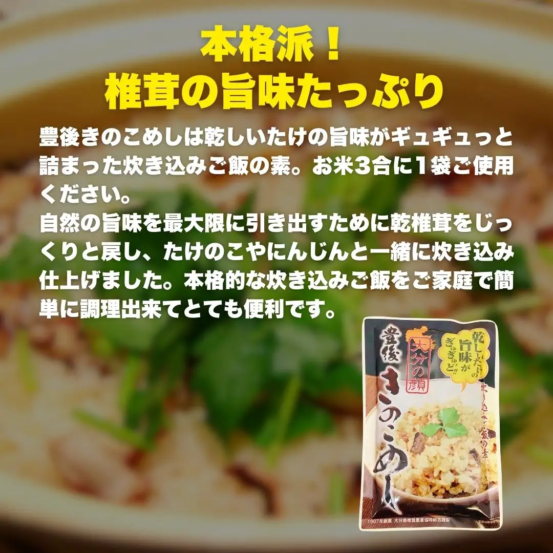 豊後きのこカレー＋豊後きのこめし＋椎茸海苔160g | 津久見市