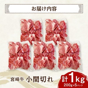牛肉 【便利な小分け】宮崎牛小間切れ計1kg（200ｇ×5P） 牛肉
