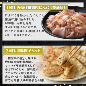 【D90001】＜定期便・全3回＞肝付町セレクト定期便《簡単調理で肉を楽しむ定期便》 鹿児島県産 国産 豚肉 鶏肉 加工品 黒豚 餃子 ギョーザ ギョウザ ロース 味噌づけ 味噌漬け 時短 定期便 セレクト 冷凍 冷凍食品 【株式会社きもつき未来商社そらまち】