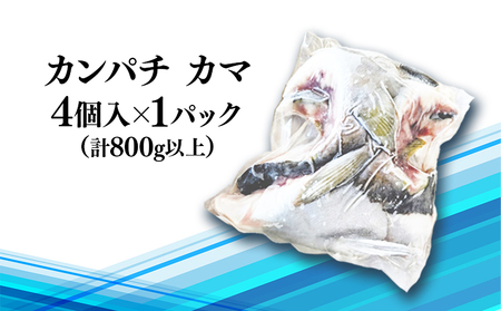 W-0102／垂水カンパチ『海の桜勘』 カマ 4個（計800g以上）