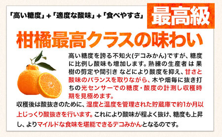 不知火 デコみかん ( デコポン と同品種 ) ご家庭用 《3-7日以内に出荷予定(土日祝除く)》訳あり 熊本県産 ( 荒尾市産含む ) 約2.5kg(12-24玉前後) 柑橘みかん フルーツ 不知火 訳アリ でこみかん 果物 5kg