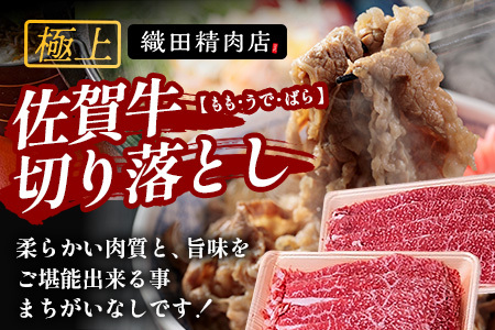 佐賀牛切り落とし【もも、うで、ばら】600g×2P(1.2kg)｜佐賀牛 和牛 国産牛 高級 ごちそう ギフト グルメ 贅沢 ふるさと納税 ブランド牛 佐賀県 鹿島市 お取り寄せ 牛肉好き必見 鹿島 もも うで ばら 切り落とし 牛肉 贅沢な食事 D-233