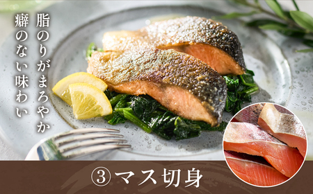 学校給食馴染みの岐阜県産川魚セット／冷凍 魚 切り身