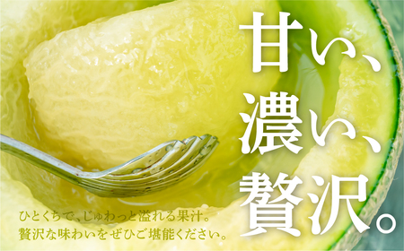 国産うなぎ & 温室メロン 農家直送 セット 鰻