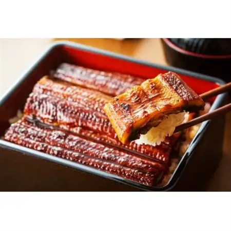 大野城市限定!ふっくら大判特上うなぎ蒲焼　計約600～700g(約320g×2尾)【配送不可地域：離島】【1646340】