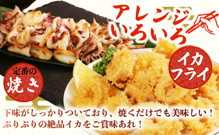 カットヤリイカ 約1.2kg イカ