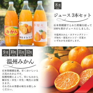 みかん 柑橘 定期便 みかん 10回 果物【tkb509】