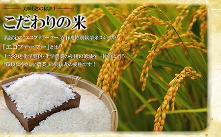 寿司 飾りいなり いなり寿司 【彩・雅】 20個セット １kg ギフト 贈り物 お中元 お歳暮 うなぎ エビ アナゴ 肉寿司 ズワイガニ 焼サバ 鮭 いくら 稲荷 豪華 お寿司 冷凍 小分け 簡単調理 国産惣菜 おかず 食品 KS-13