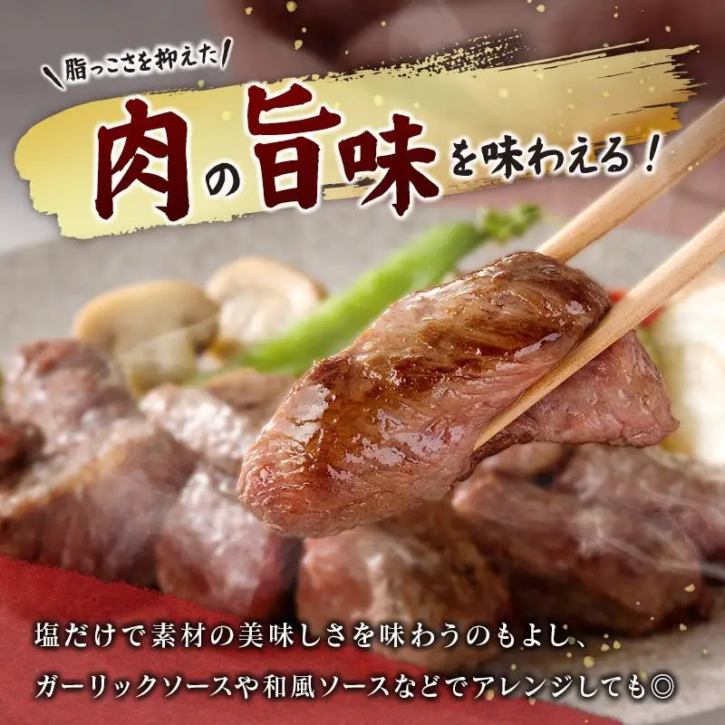 宮崎牛 ヒレ サイコロステーキ 300g 希少部位 宮崎県産 国産 黒毛和牛