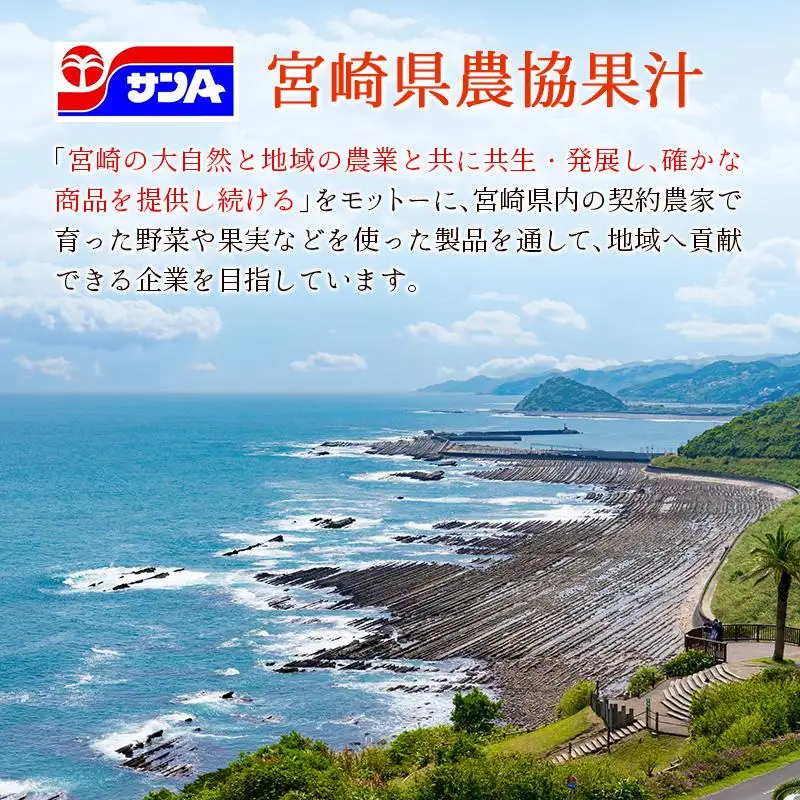 【定期便 12か月】 霧島山麓の天然水 590ml×24本入 12回 サンＡ ミネラルウォーター 飲料水 常温保存 宮崎