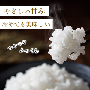 ＜数量限定＞元気つくし 精白米 (5kg)お米 米 精白米  国産 福岡県産 ブランド米 5kg 数量限定 常温＜北海道・沖縄・離島配送不可＞【ksg1780】