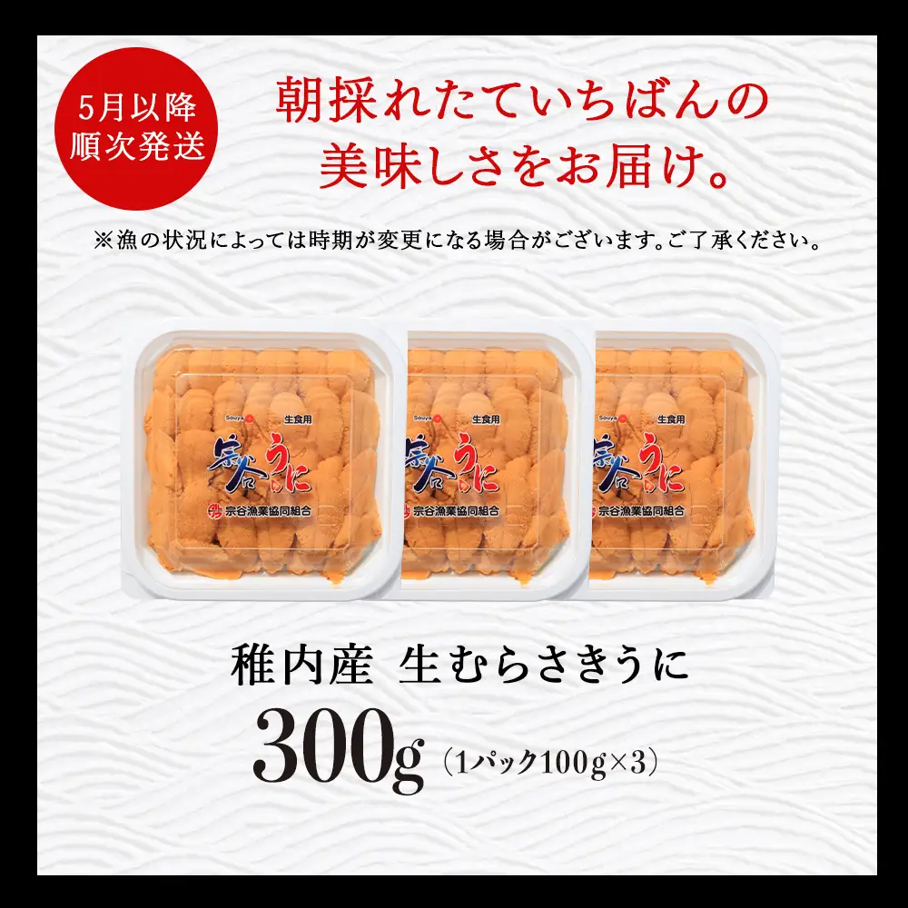 【先行予約】【うにの名産地稚内市】最北端の生むらさきうに(100gパック×3) うに ウニ ムラサキウニ