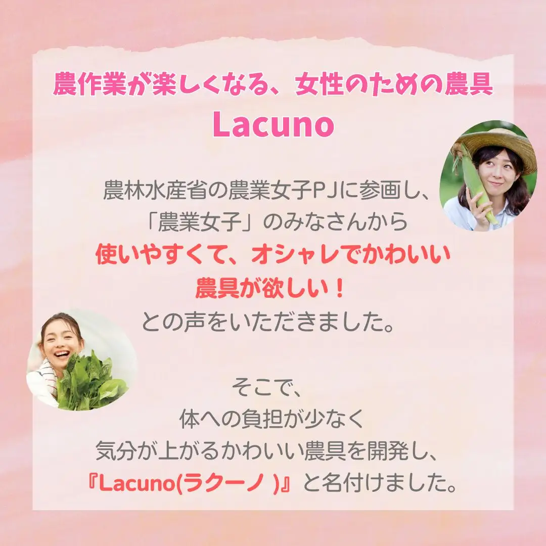 [Lacuno] 小鎌120mm＋ステン鋸鎌（オレンジ）セット ラクーノ 農業女子 ガーデニング 園芸 農作業 かま カマ 軽い かわいい おしゃれ 【011S299】