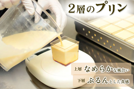 プリン「プレーン3個＋抹茶3個」計6個入 [0213ch]