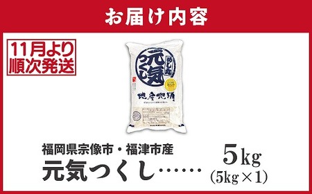 【令和7年産米】【2025年11月より順次発送】JAよりお届け！福岡県ブランド米「元気つくし」 5kg（5kg×1袋）[H2310b]